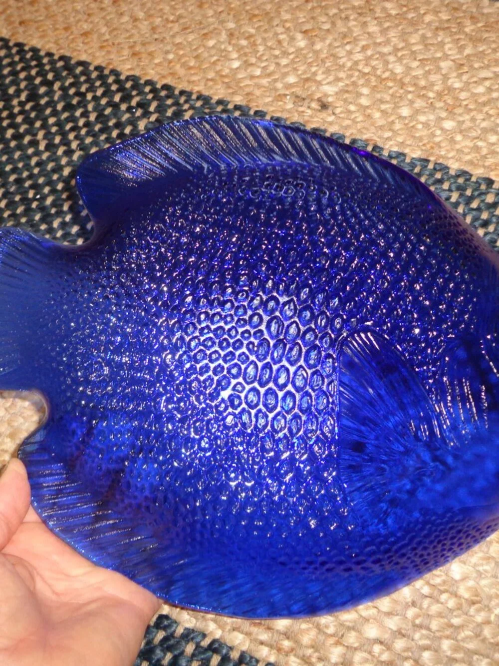 N/A glass fish